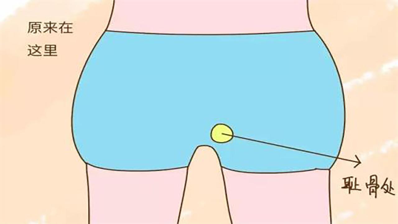 孕期“耻骨疼”困扰了很多孕妈，别怕，早知这3点，孕妈少受罪