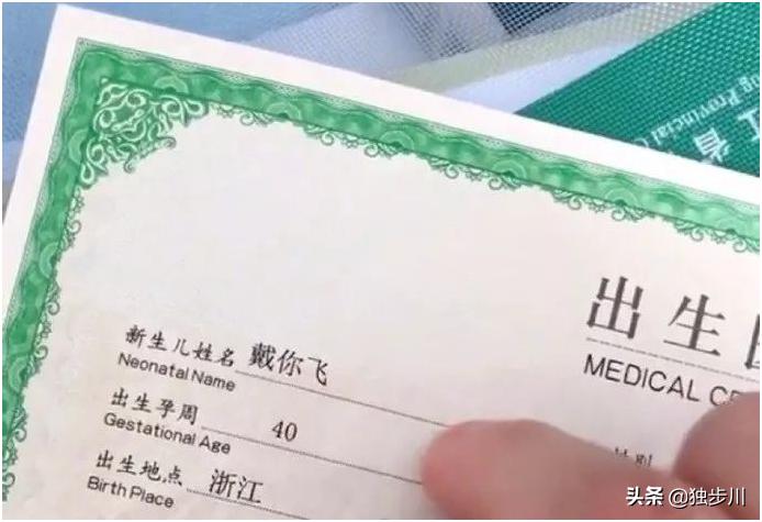 名字随意,随意的名字