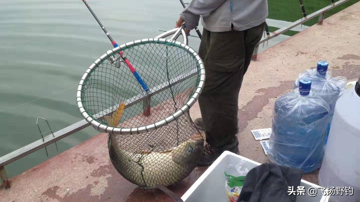海竿钓鱼效果比台钓好吗,海竿翻板钩冬季钓鲢鳙离底钓法