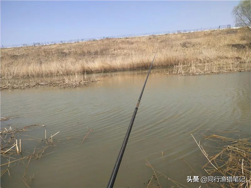 迎着倔强的西南风，抓耳挠腮与网工抢鱼，哪里说理儿去