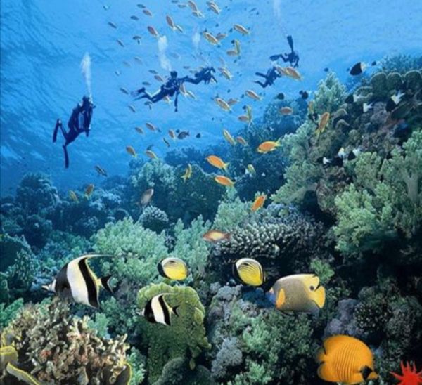 从海南省三亚市怎么去蜈支洲岛,海南省三亚市蜈支洲岛在哪个区