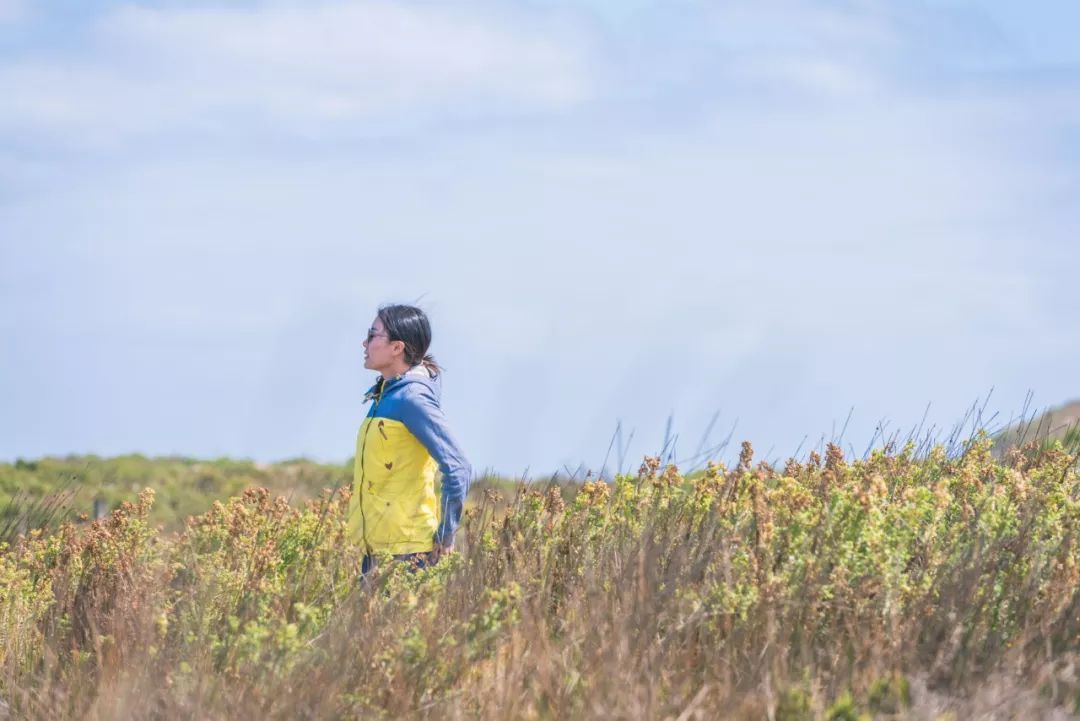 悉尼到阿德莱德自驾游,澳大利亚阿德莱德悉尼距离