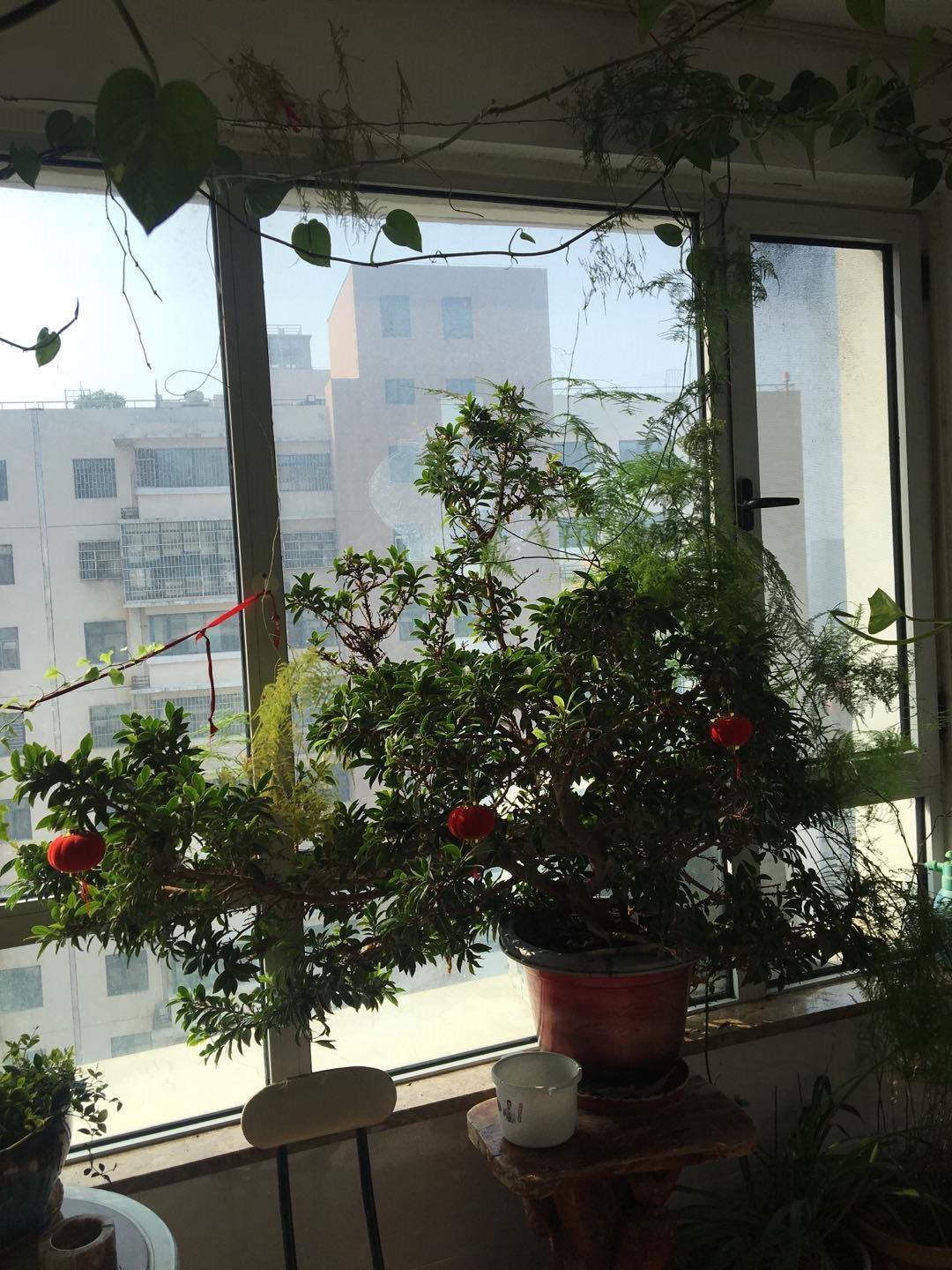 世人都应该做到“三会”（会做人、干事和生活）