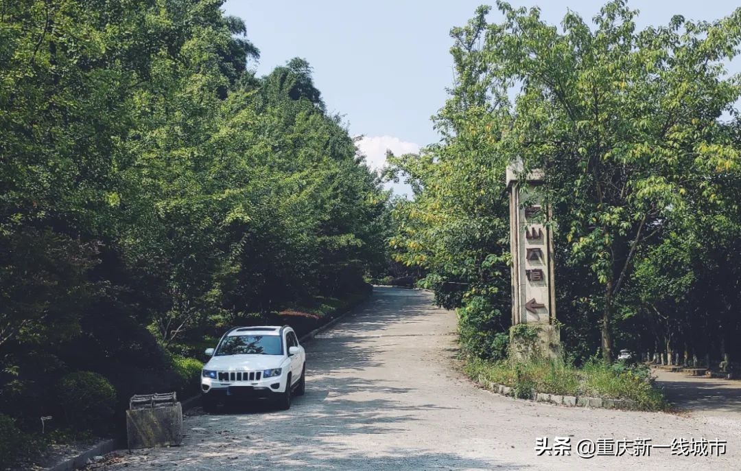 荒野求生之神秘洞穴,荒野求生神秘洞穴