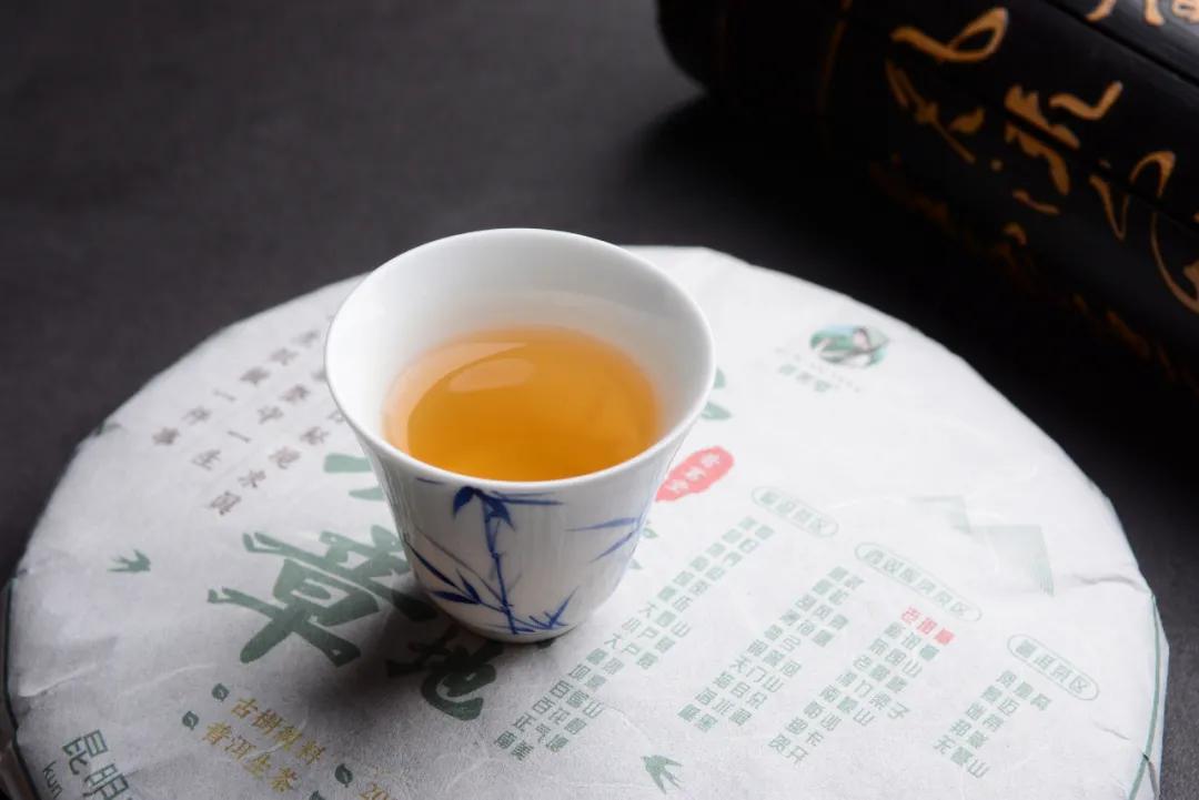 2024年临沧茶区普洱茶春茶价格表,临沧普洱茶春茶