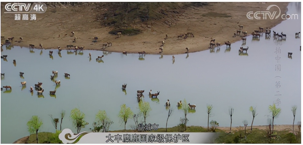 乡土地理河南,乡土地理资料