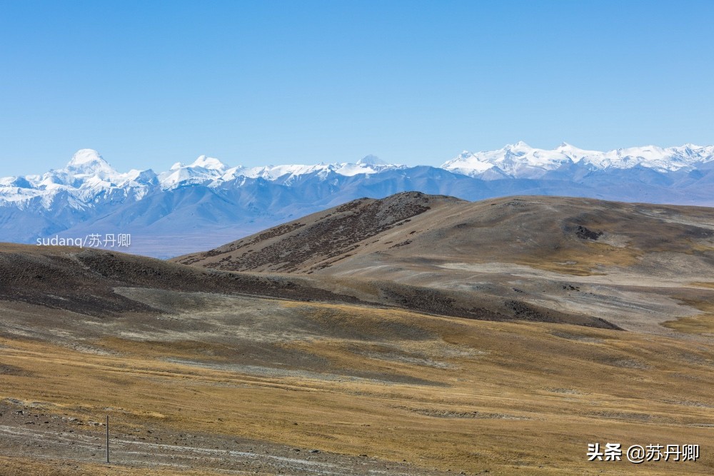 拉萨菜市场干货,拉萨物资紧缺