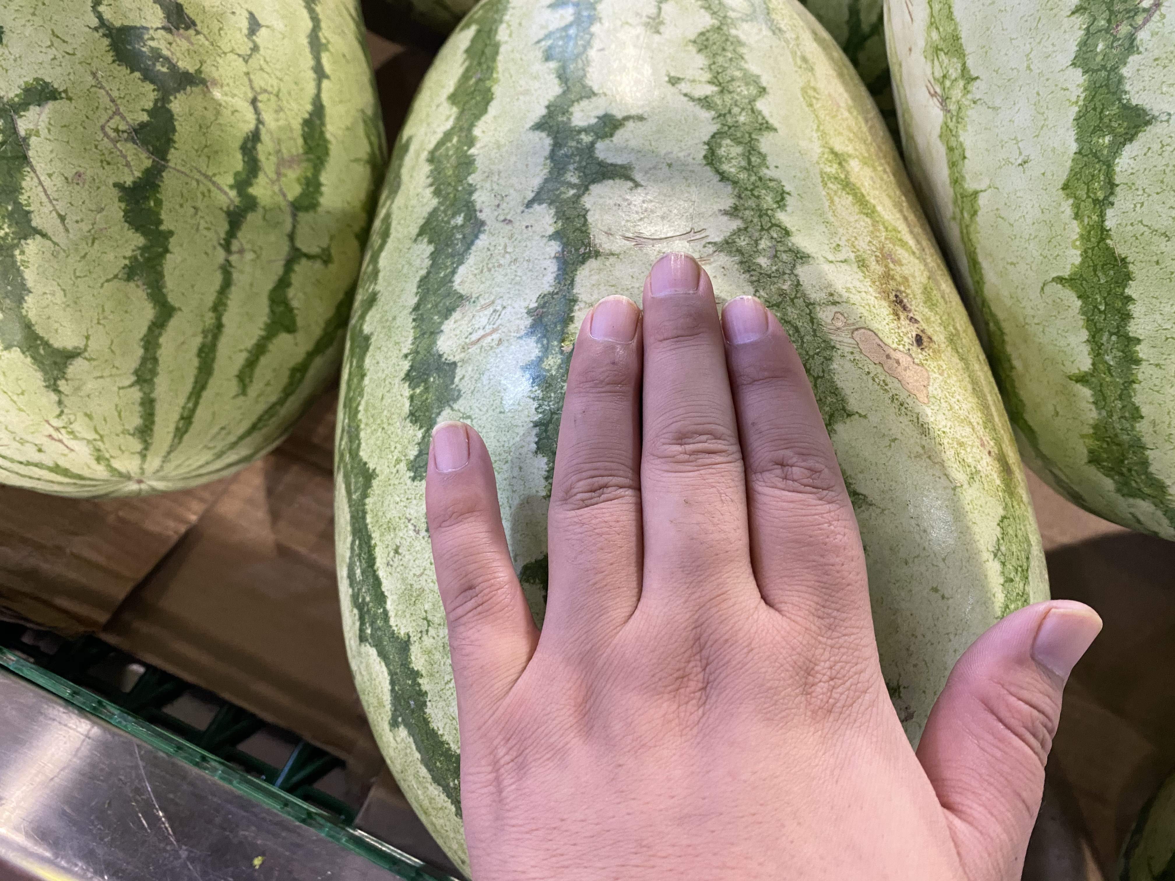 西瓜甜不甜四种挑法,怎么辨认西瓜甜不甜的小妙招