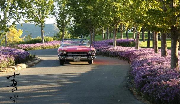 平凡生活一事无成,平凡平淡过成不平常怎么办