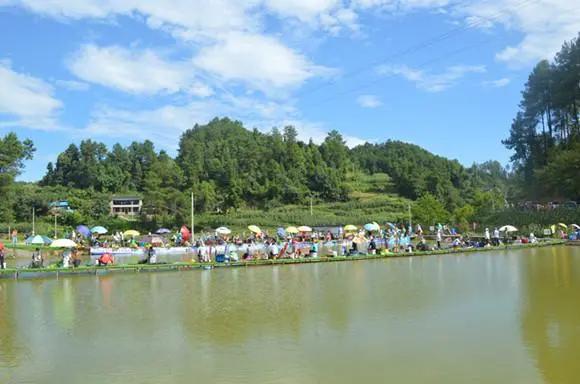 竹舍乌鱼庄：一条鱼搅活的乡村特色游