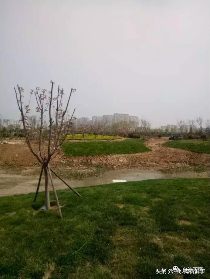 城阳白沙湾足球基地,白沙湾足球基地效果图