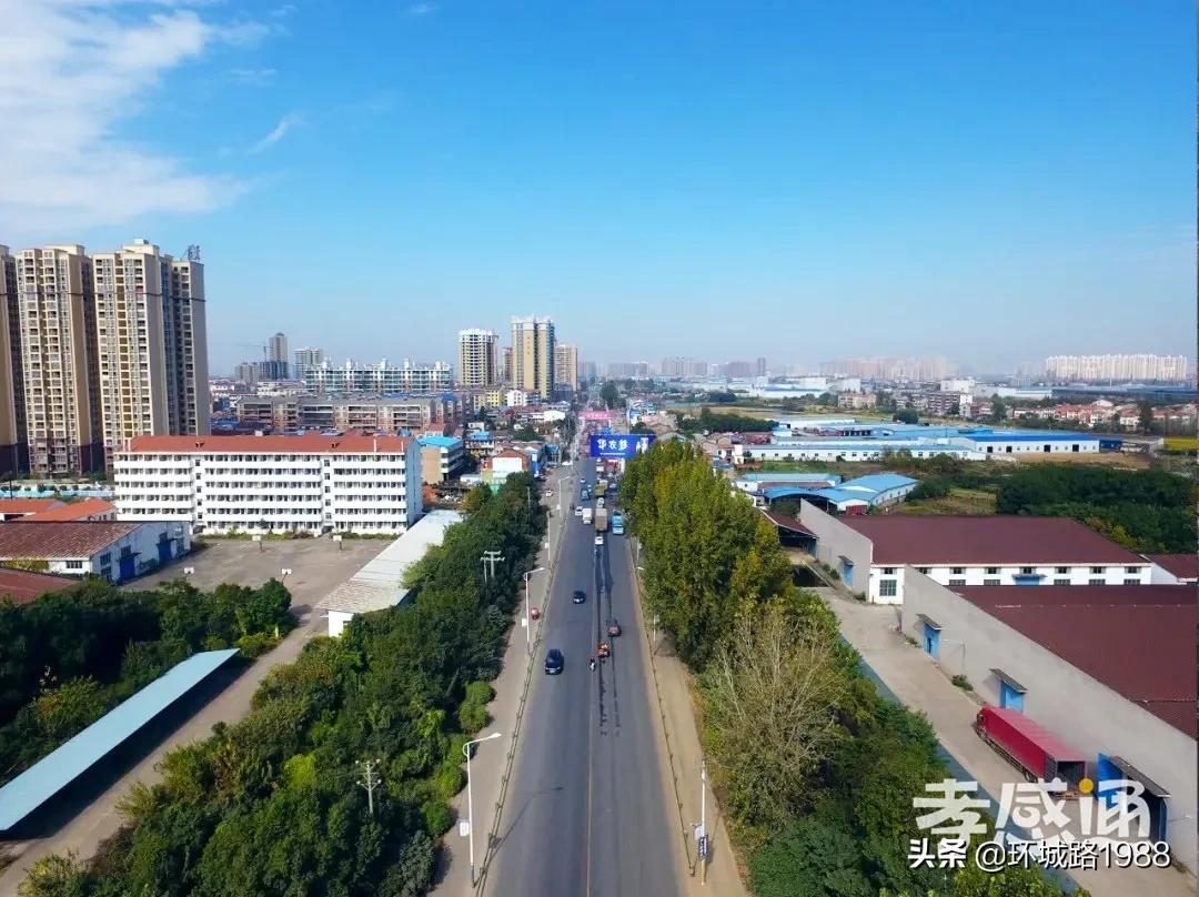 未来可期！向你展现不一样的毛陈