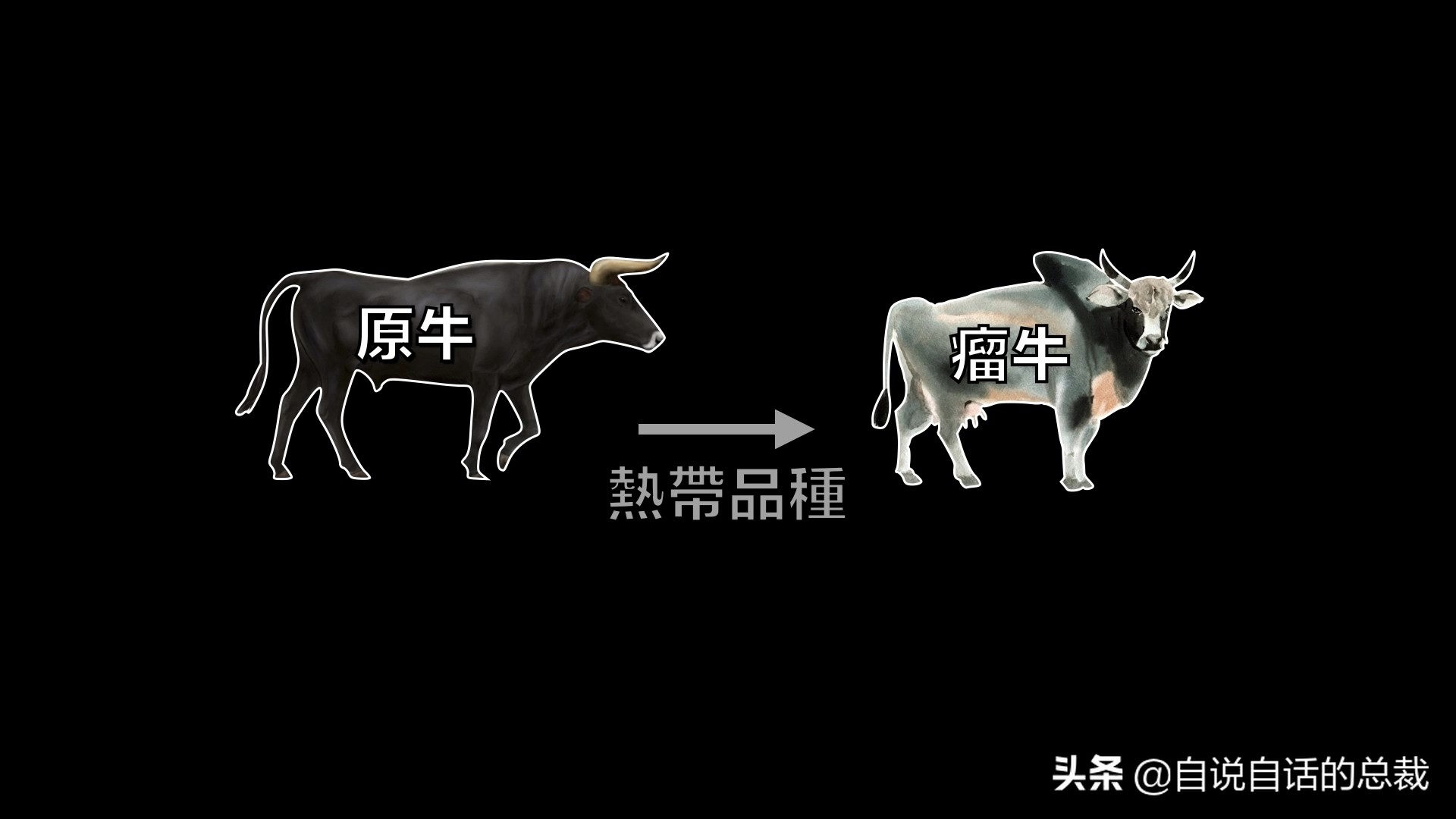 阿努纳奇创造人类7次文明,阿努纳奇人类起源