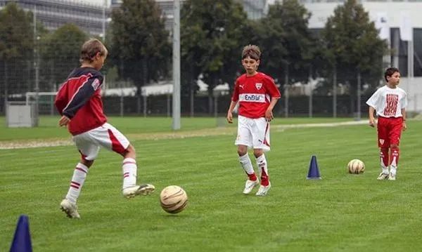 你们的南大王回来了，拜仁重返欧洲巅峰，背后则是不可忽视的青训体系