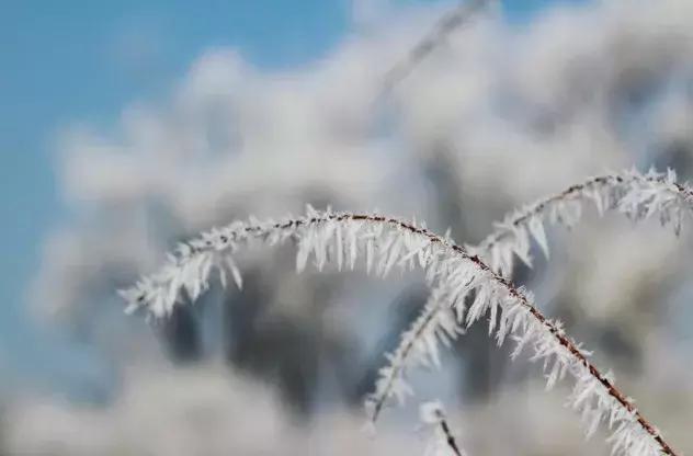 雾凇之美宛若仙境,连云港花果山雾凇美得像仙境