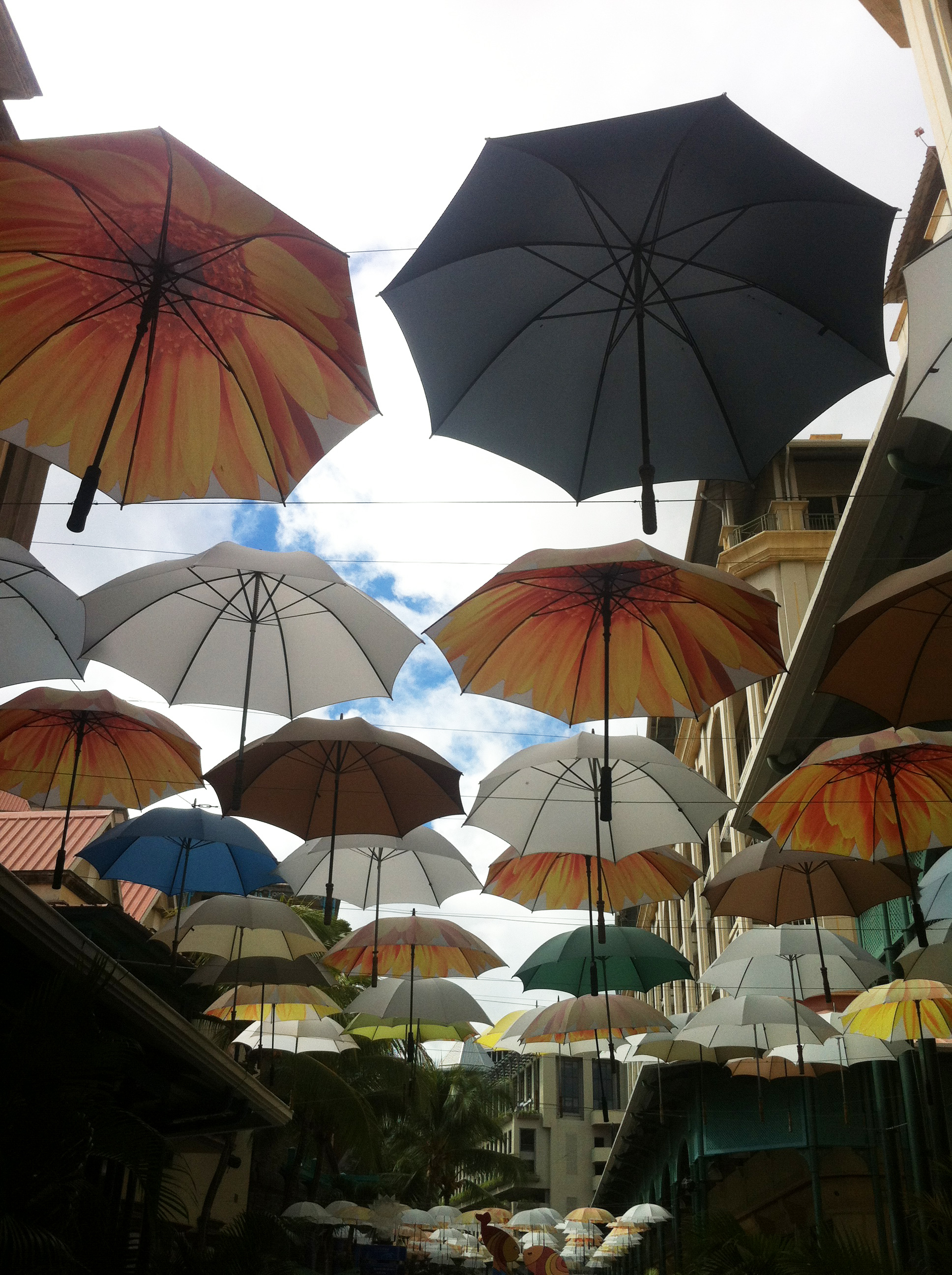 毛里求斯旅游攻略自由行,毛里求斯自由行攻略