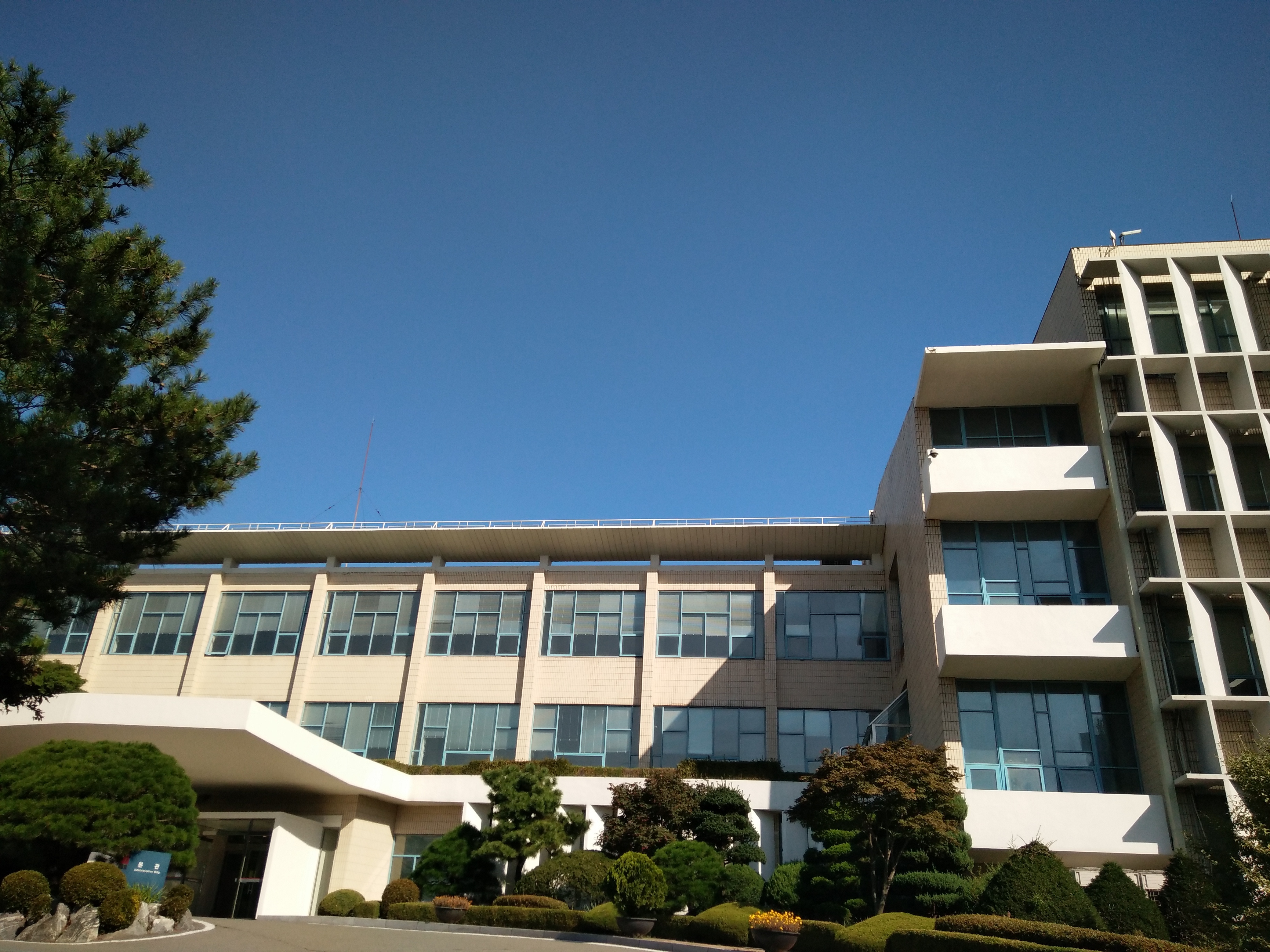 韩国西江大学发学位证吗,韩国西江大学优势专业