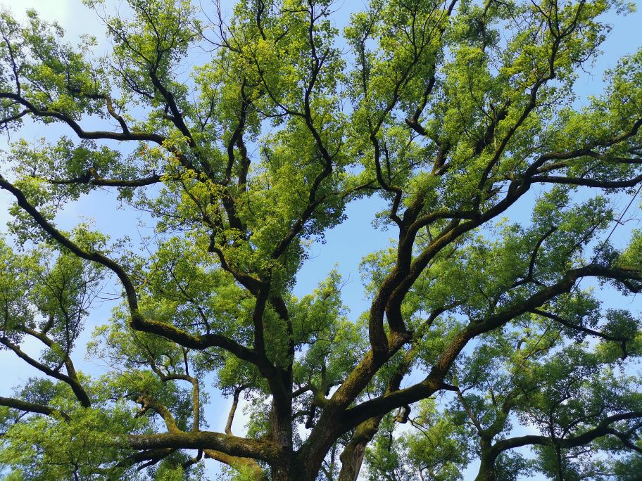 长沙自驾旅游路线推荐岳麓山景区,湖南醴陵渌江桥旁状元洲