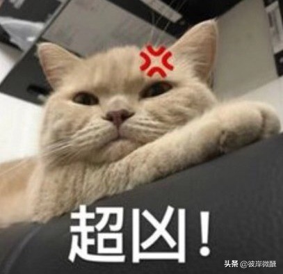 如果在酒吧喝多了会怎么样,在酒吧容易喝醉怎么办