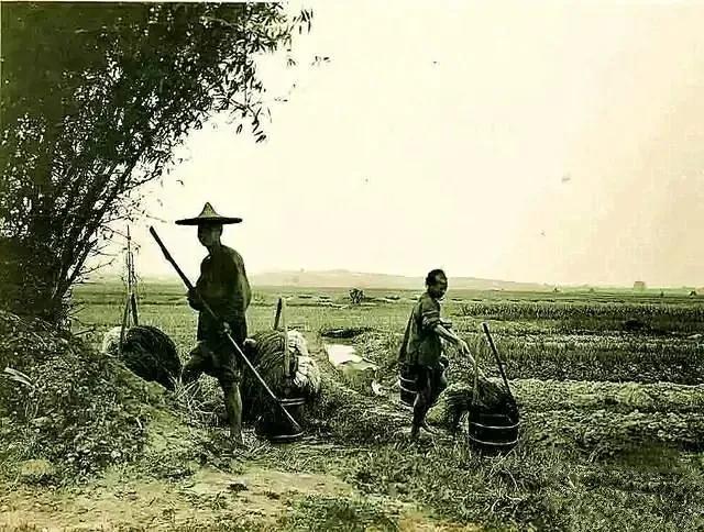 清朝民间奇案骗术故事,晚清奇案小姑子深夜遇害