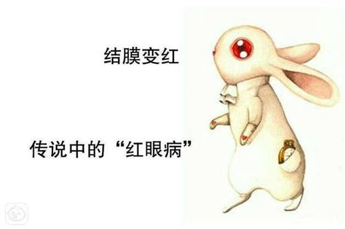 眼睛红肿了怎么办结膜炎,眼睛红肿怎么回事有分泌物