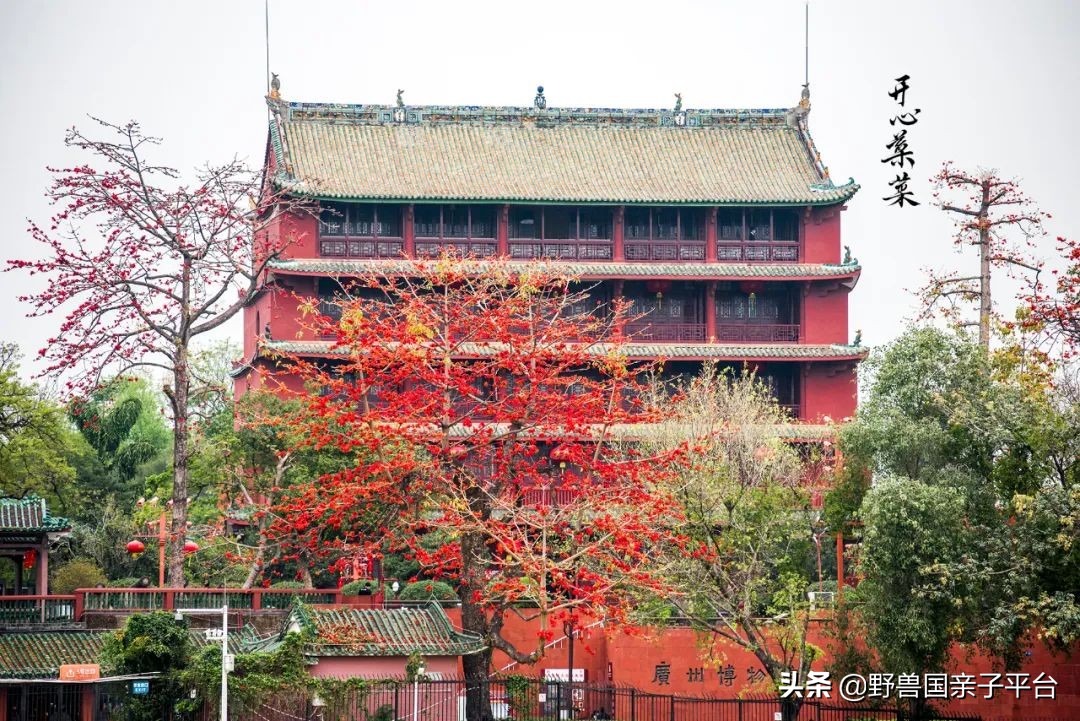 广州遛娃旅游推荐路线攻略,广州遛娃清单升级版