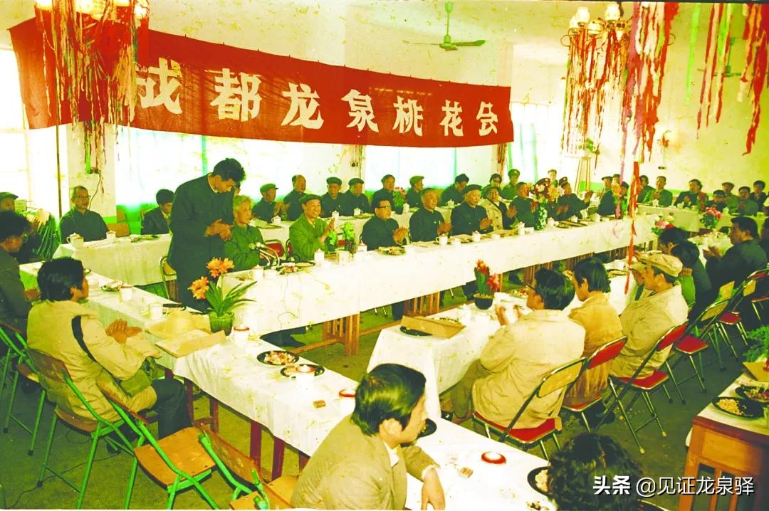 中国*产党共**龙泉驿历史