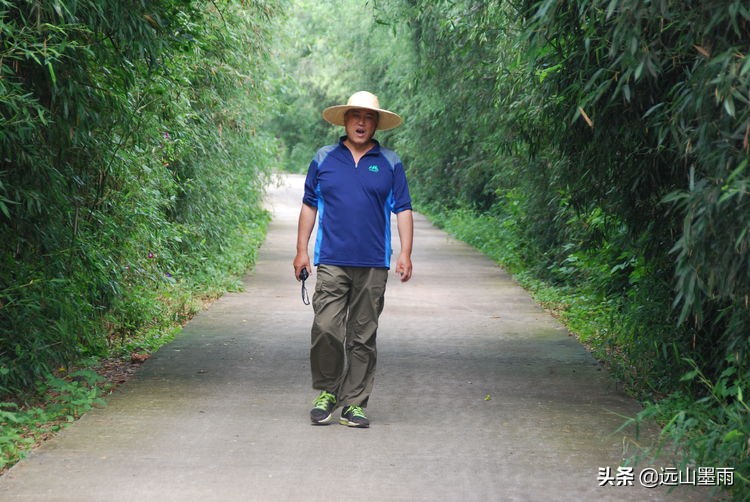 昆明嘉丽泽小镇旅游,昆明嘉丽泽水乡