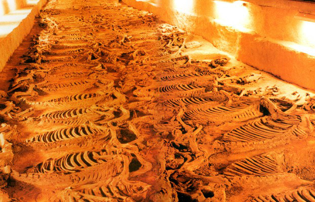 淄博有什么好玩的地方啊,淄博有几个好玩的地方