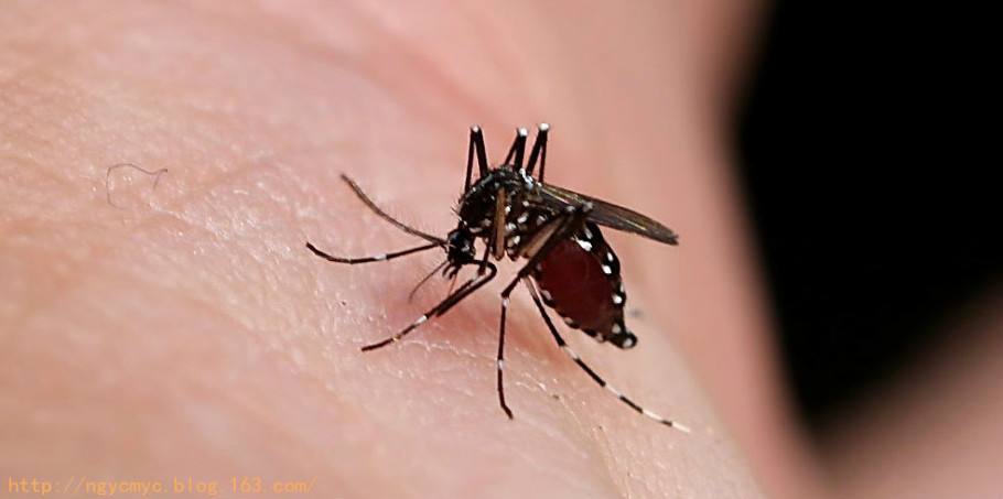 婴儿用防蚊手环好还是防蚊贴好,驱蚊贴和手环宝宝可以用吗