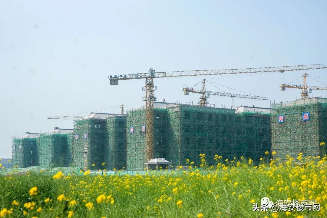 海安上湖三甲医院,海安上湖医院最新消息