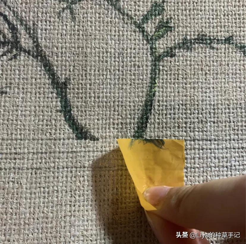 为什么不能拿假包,女生会买假的包吗