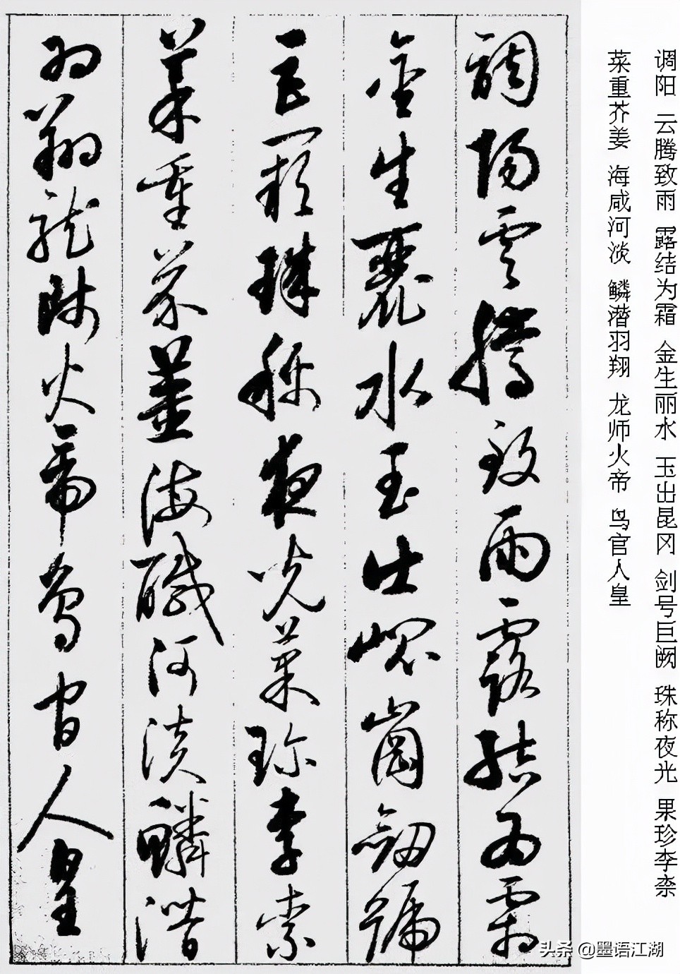 国宝档案启功草书千字文,启功千字文草书临写视频