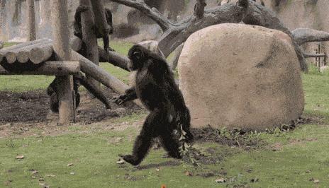 七八十年代人人头上有虱子,80年代时人们为什么会有虱子