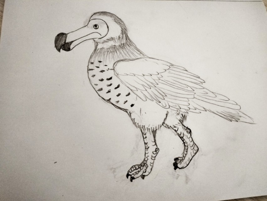 山海经都有哪些动物被证实存在,如果山海经的异兽真的存在