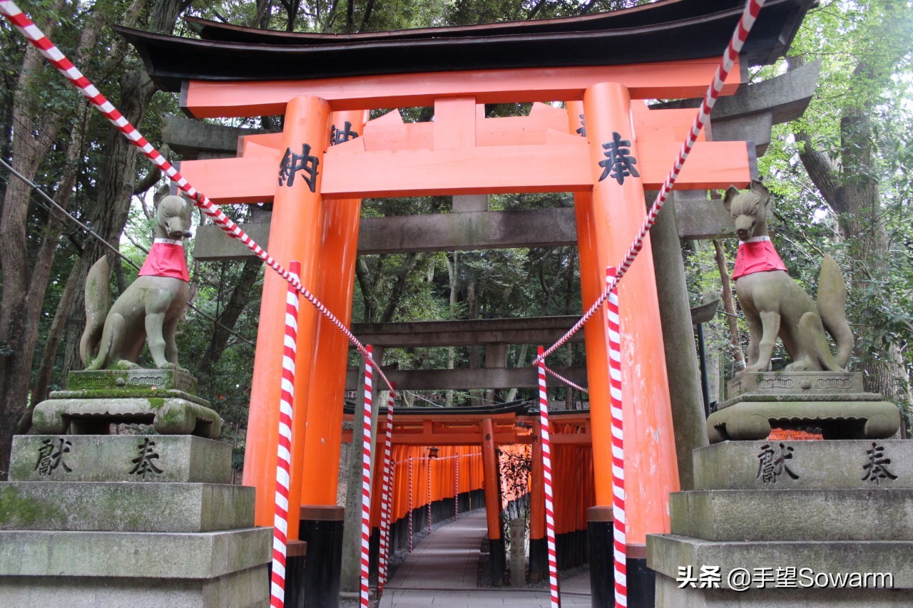 日本鸟居真实事件,一起轰动全球的真实案件