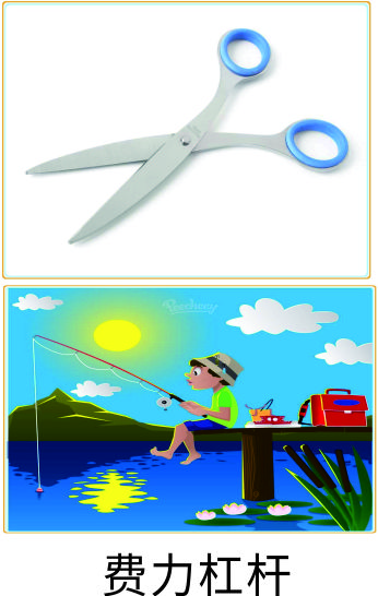 探究杠杆平衡规律科学实验,有趣的物理天平小实验