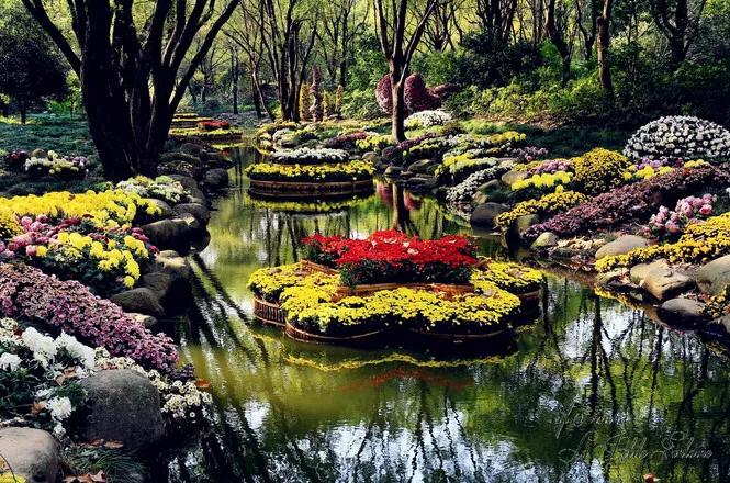 缙云景点排行榜前十,缙云旅游景点天气