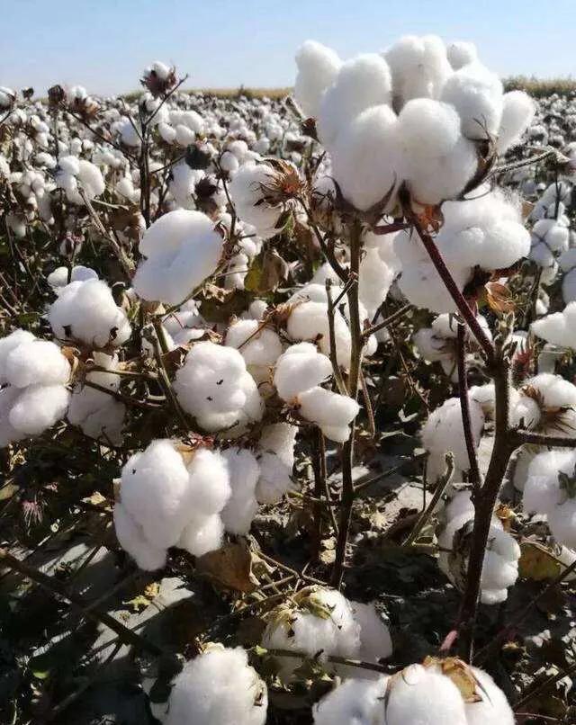 噪音大捂住耳朵有用吗,生活冷知识音频