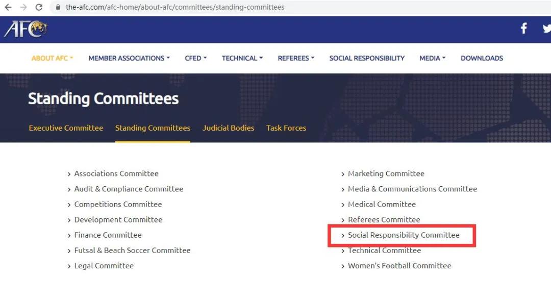 中国职业足球,中国职业足球成本