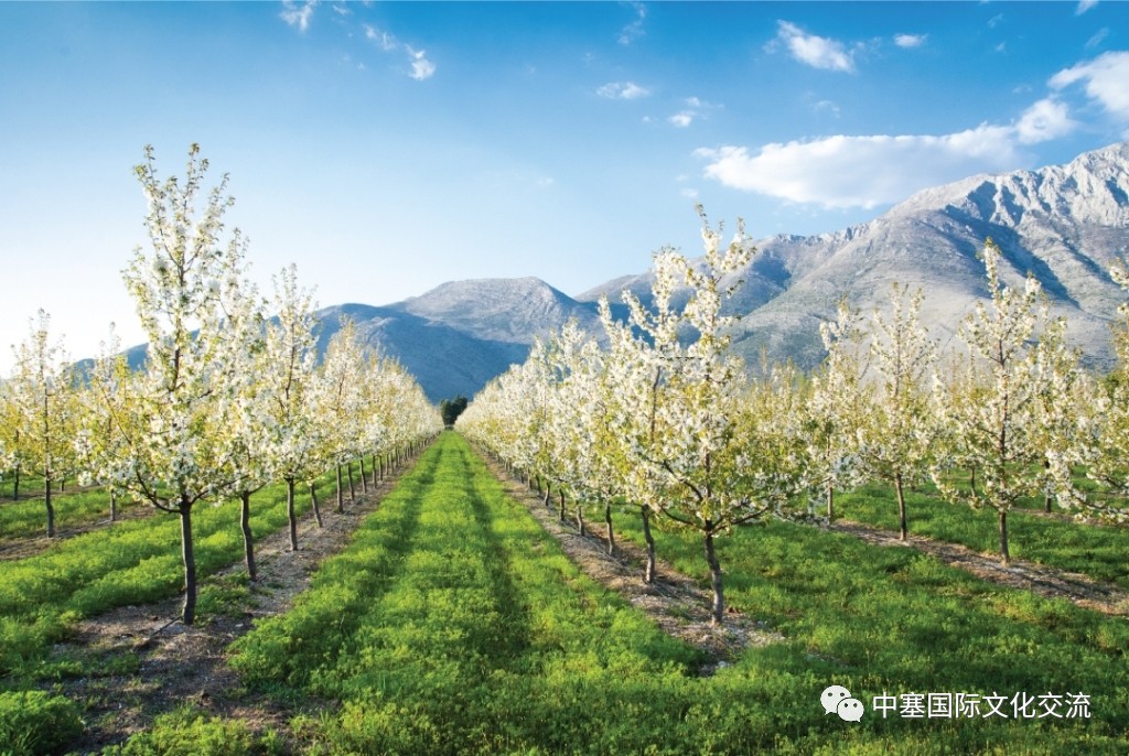 连巨星政要都亲睐的修道院葡萄酒庄你还不赶紧的｜尽在波黑福尔多