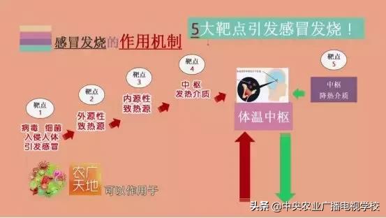 农广天地病害防治,农广天地愈康