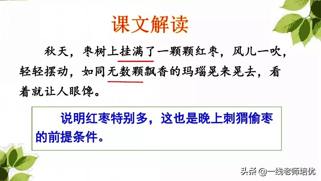 带刺的朋友三年级上册,三年级语文带刺的朋友课文知识点