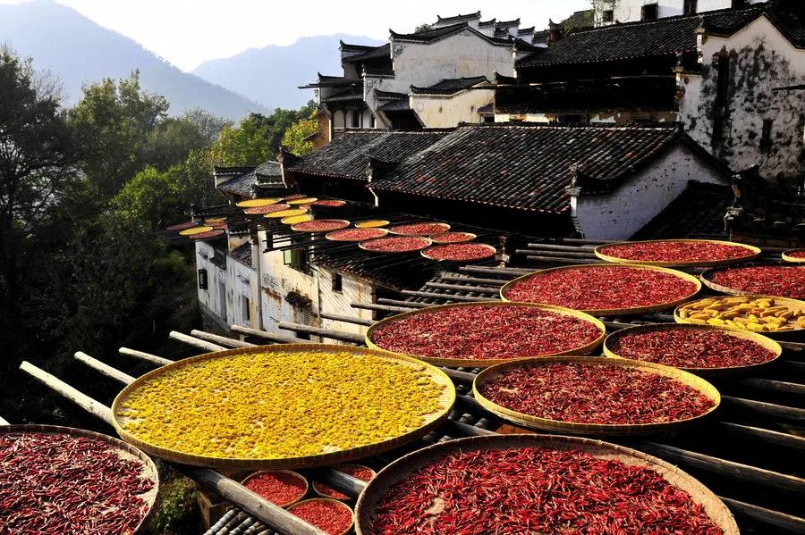 第八届篁岭晒秋文化节,篁岭晒秋嘉年华