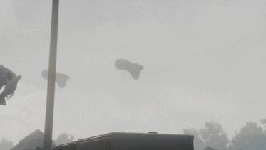 世界大战中的信鸽传奇：以吾一“鸽”之力挽救无数生命