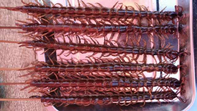 为什么大蜈蚣毒不死大公鸡,大公鸡为什么吃了蜈蚣就要啄人