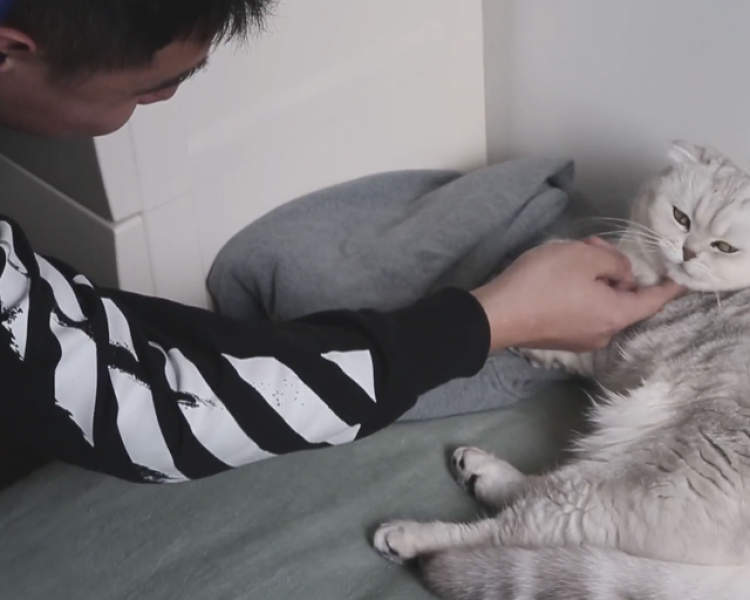 口红一哥李佳琦的经济效益,口红一哥李佳琦卖口红视频