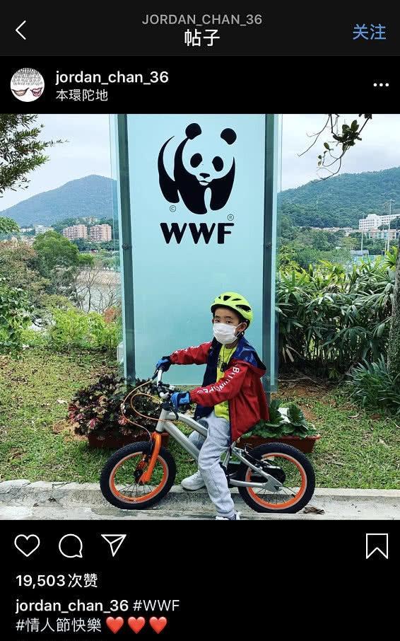 应采儿嫁给陈小春原因,应采儿和陈小春怎么在一起的