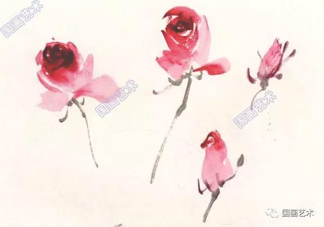 月季花的画法视频教程,一学就会中国画写意月季的画法