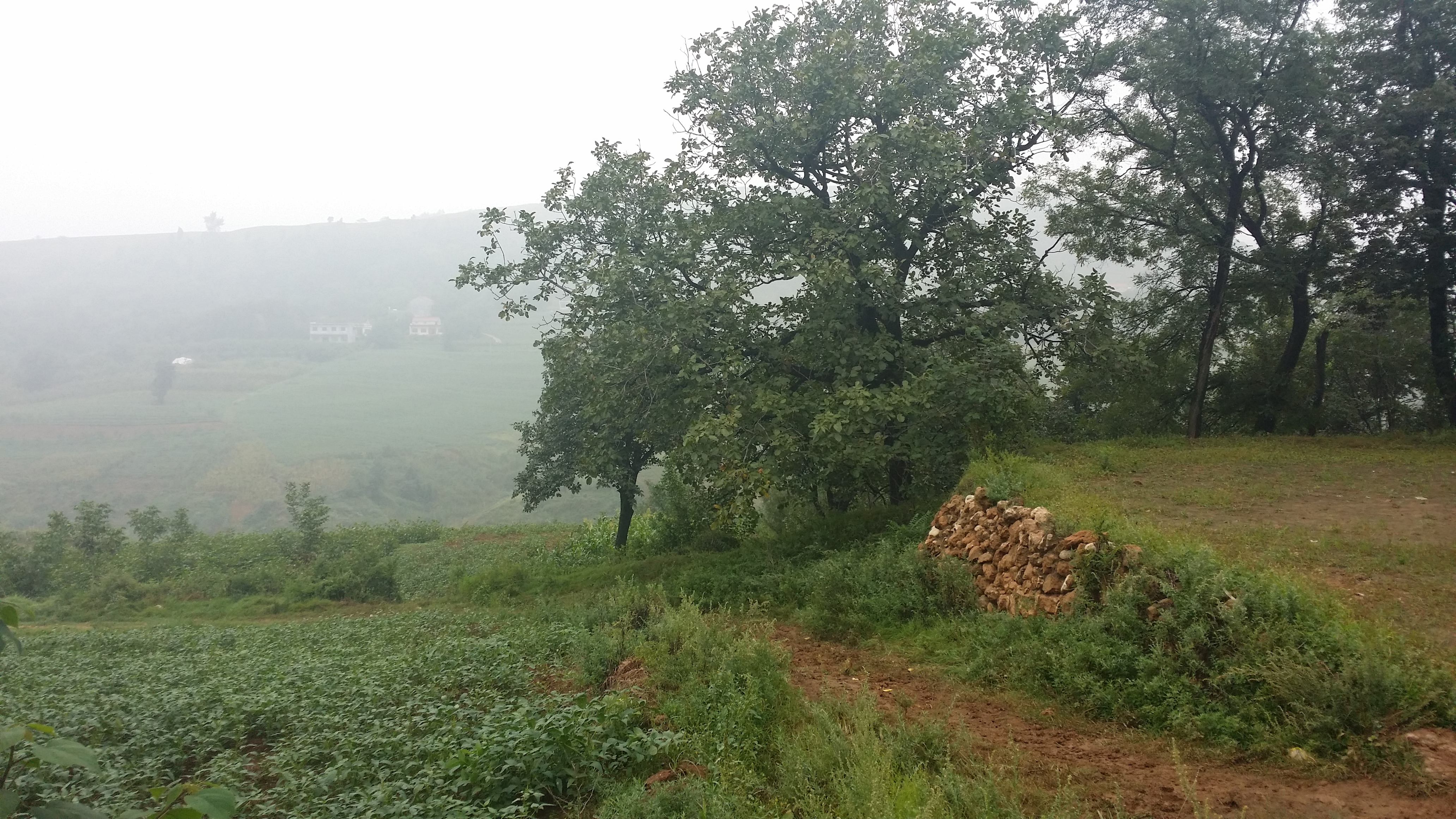 孔明诗词名句,孔明写的诗句